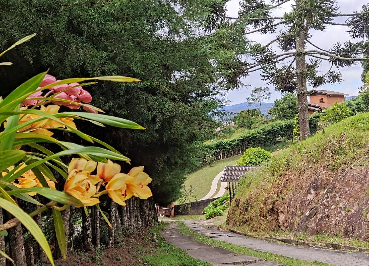 Chale Manaca House Villa Campos do Jordao Brazil